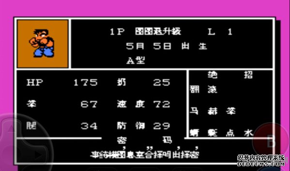 ��ʢ����ҳ�δ�˵nes�����İ� ����