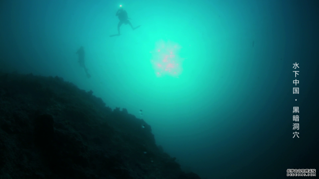 世界潮我看丨从水下看中国,揭开黑暗洞穴的奇妙面纱