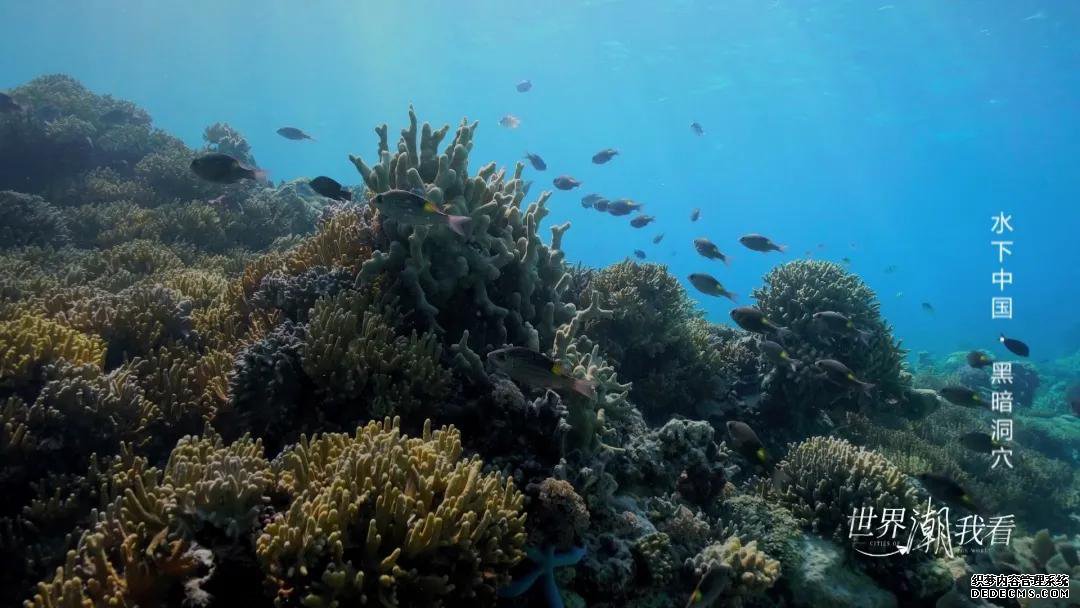 世界潮我看丨从水下看中国,揭开黑暗洞穴的奇妙面纱