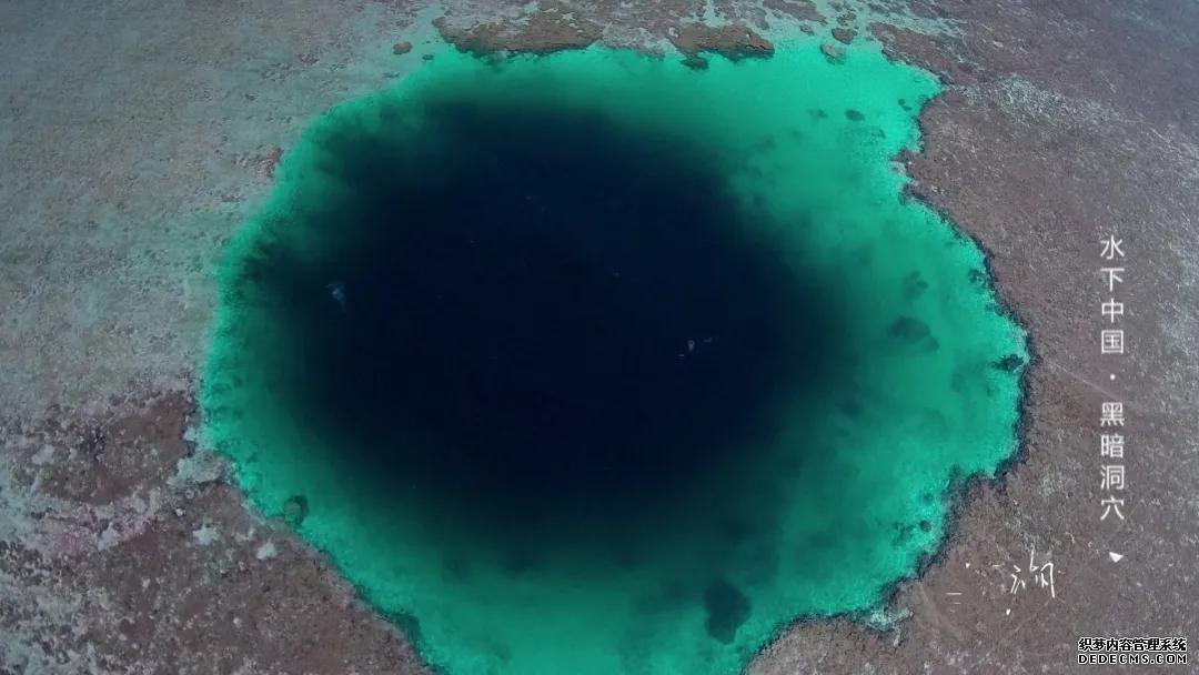 世界潮我看丨从水下看中国,揭开黑暗洞穴的奇妙面纱
