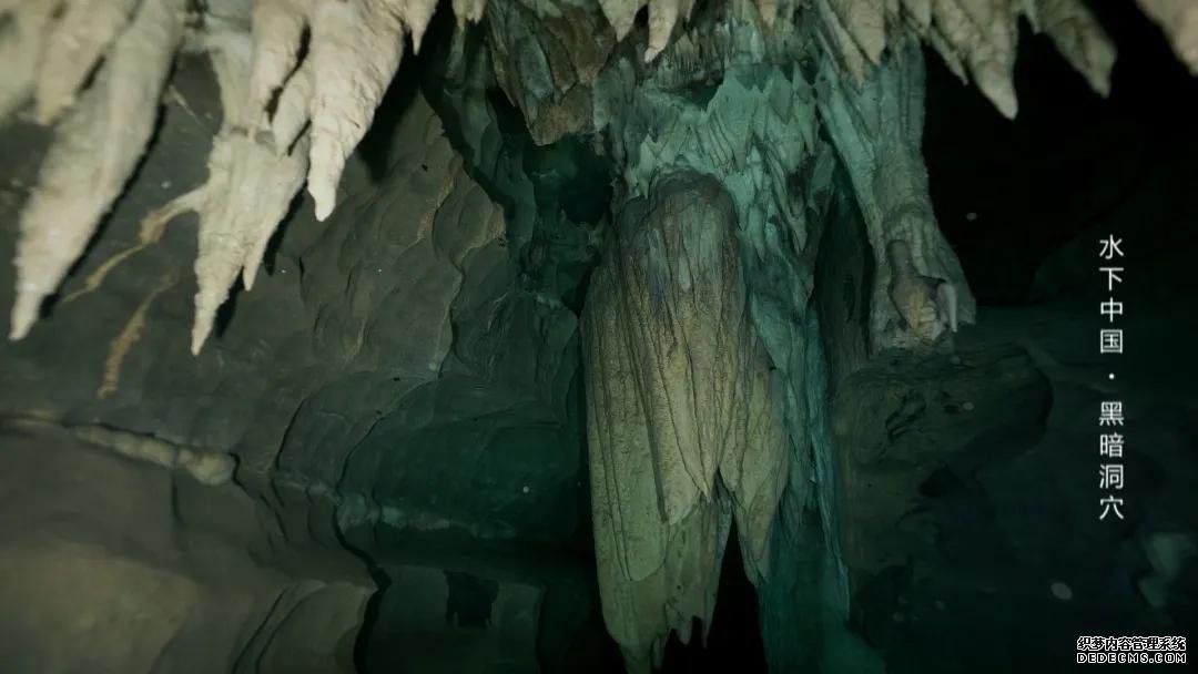 世界潮我看丨从水下看中国,揭开黑暗洞穴的奇妙面纱