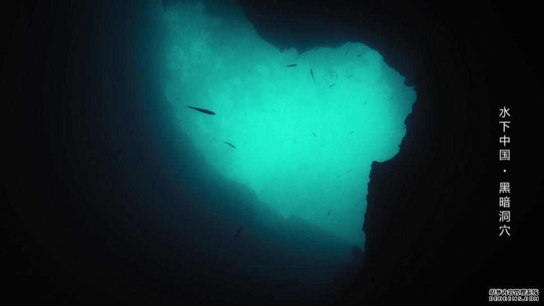 世界潮我看丨从水下看中国,揭开黑暗洞穴的奇妙面纱