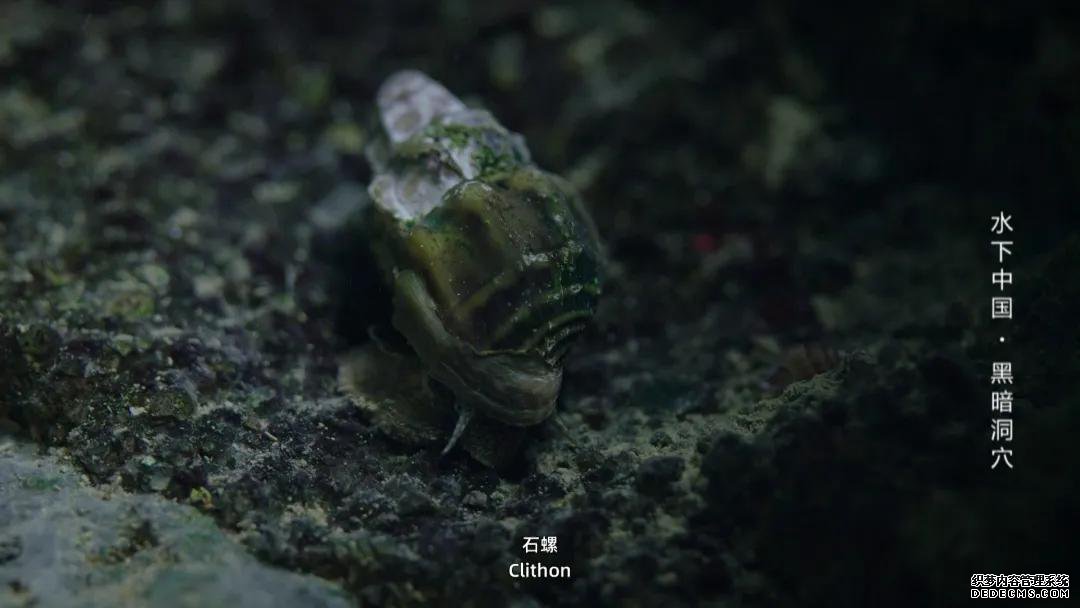 世界潮我看丨从水下看中国,揭开黑暗洞穴的奇妙面纱