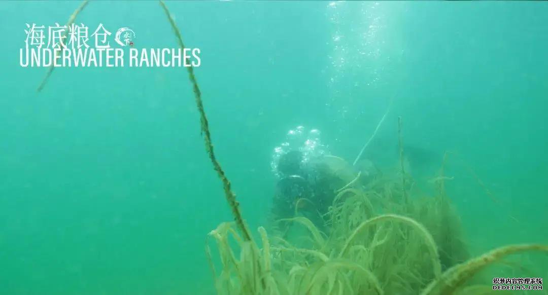 世界潮我看丨从水下看中国,揭开黑暗洞穴的奇妙面纱