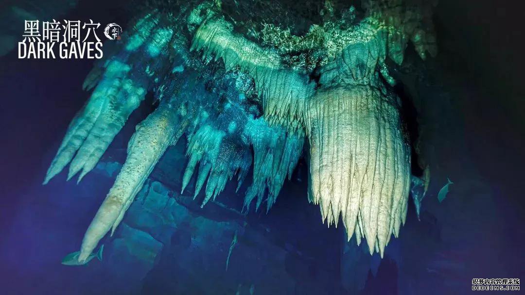 世界潮我看丨从水下看中国,揭开黑暗洞穴的奇妙面纱