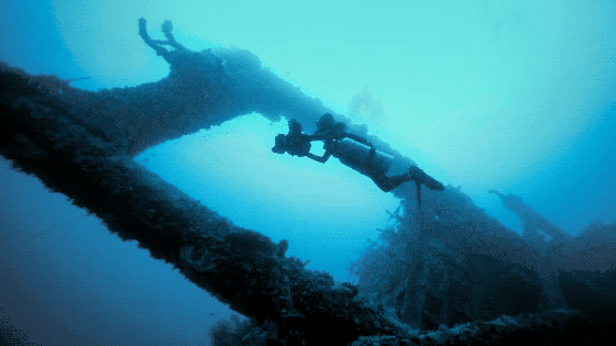 世界潮我看丨从水下看中国,,揭开黑暗洞穴的奇妙面纱