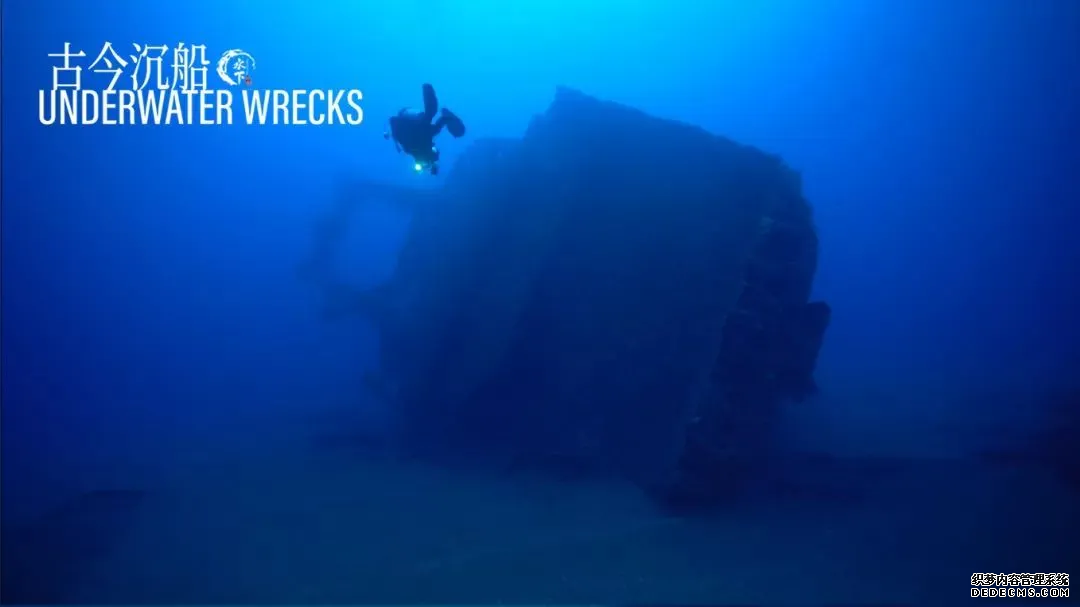 世界潮我看丨从水下看中国,揭开黑暗洞穴的奇妙面纱